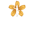 Sokha Real Estate Co., Ltd