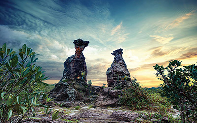 Bokor View