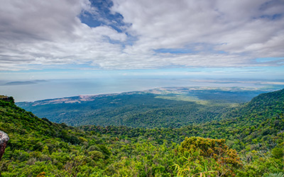 Bokor View