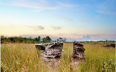 Bokor View